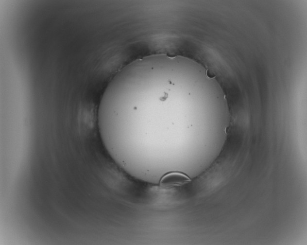 X0000113110133200909041253