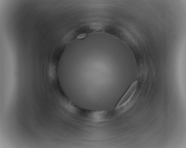 X0000113110136200909041253