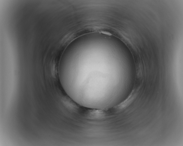 X0000113110140200909041253