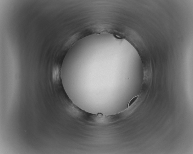 X0000113110142200909041253