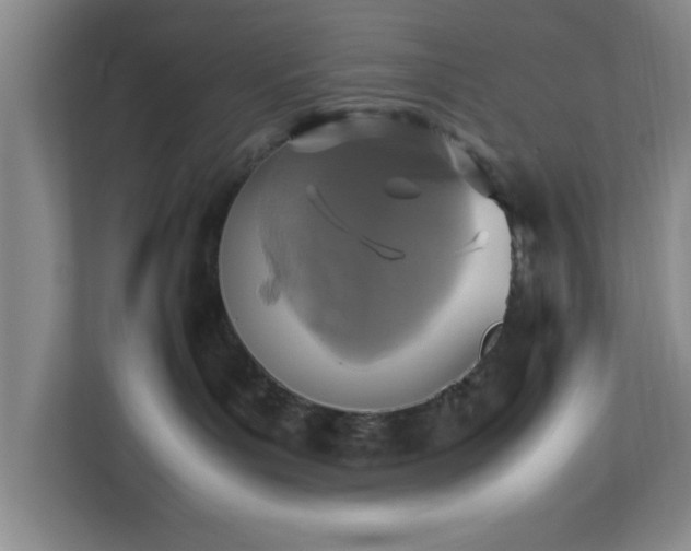 X0000113110143200909041253