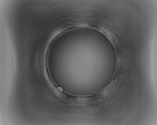 X0000113110145200909041253