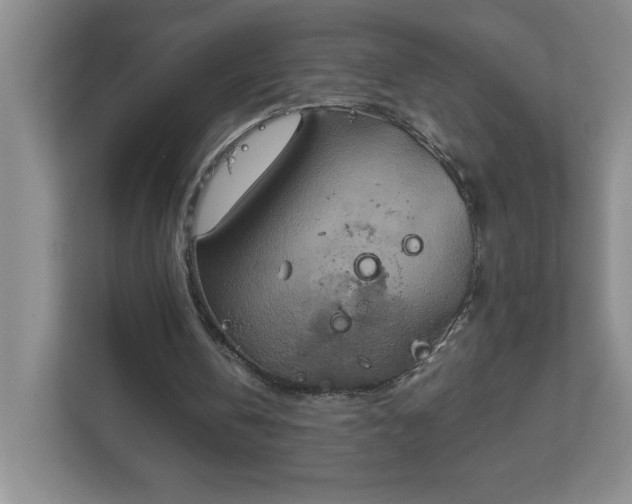X0000113110146200909041253