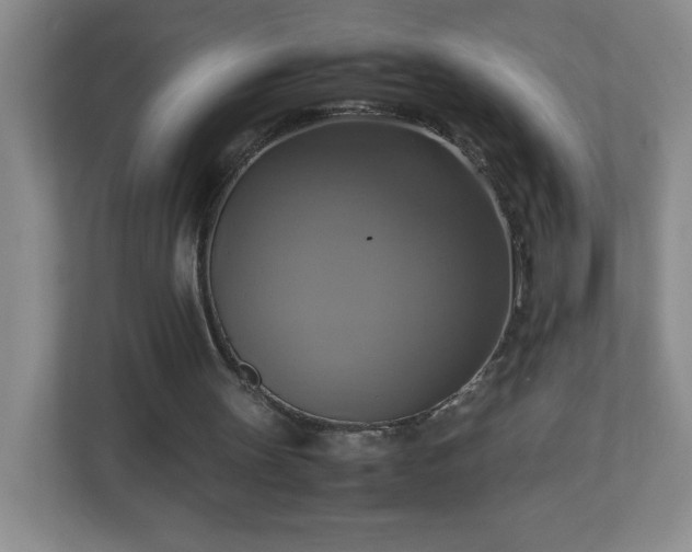 X0000113110147200909041253