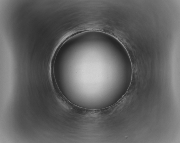X0000113110148200909041253