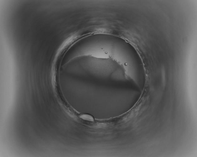 X0000113110149200909041253