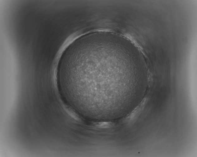 X0000113110151200909041253