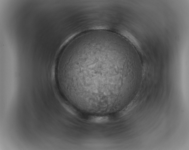 X0000113110155200909041253