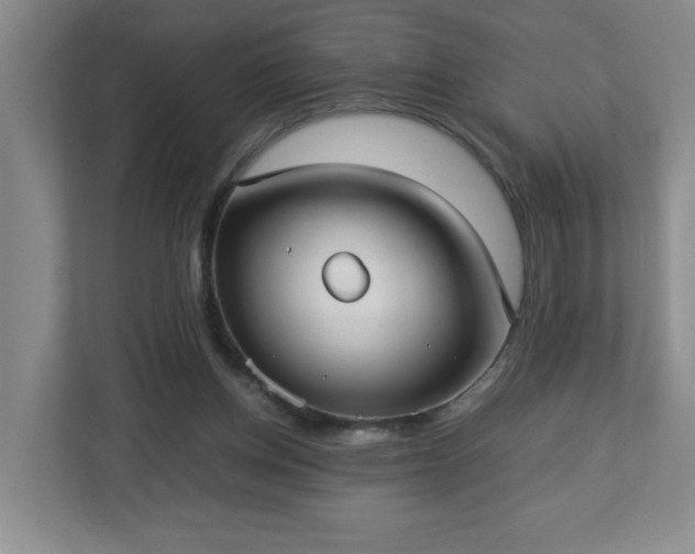 X0000113110158200909041253