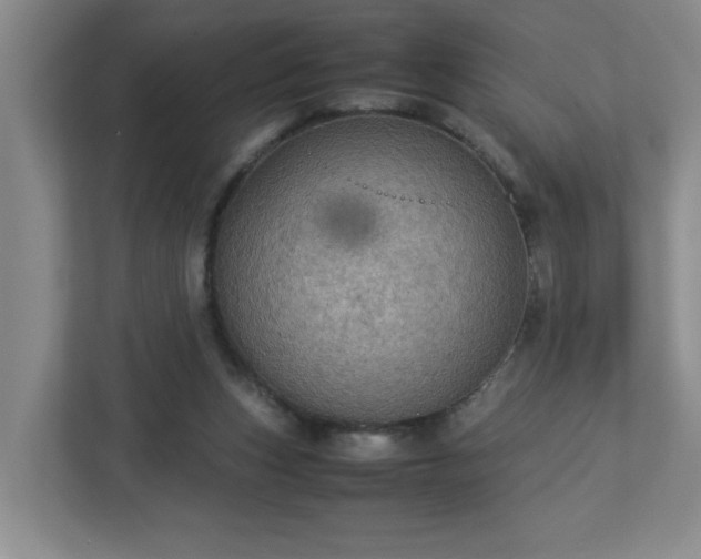 X0000113110159200909041253