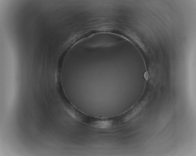X0000113110161200909041253