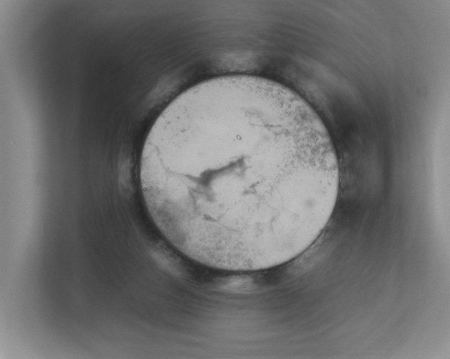 X0000113110162200909041253