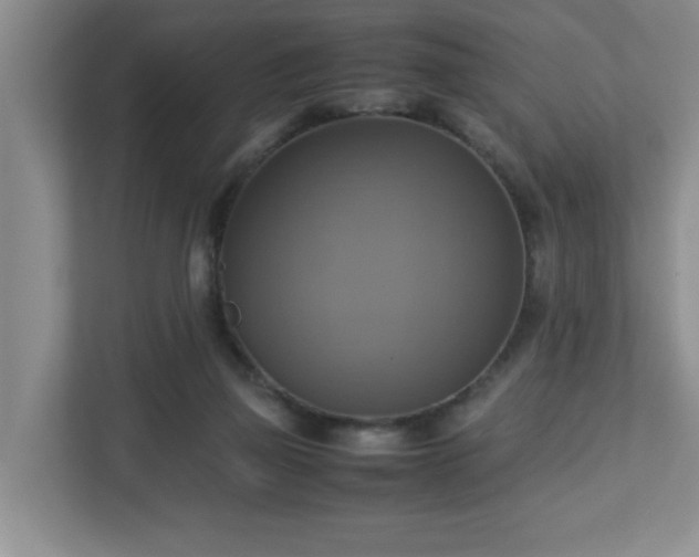 X0000113110165200909041253