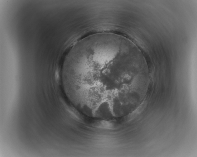 X0000113110166200909041253