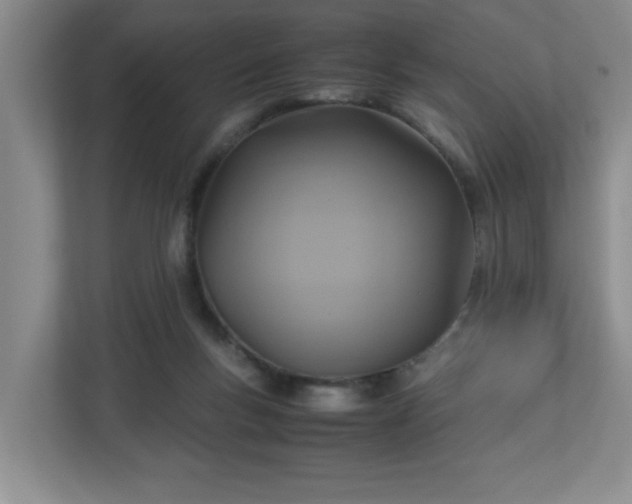 X0000113110167200909041253