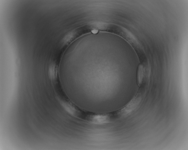 X0000113110168200909041253
