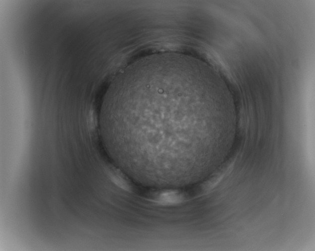 X0000113110173200909041253