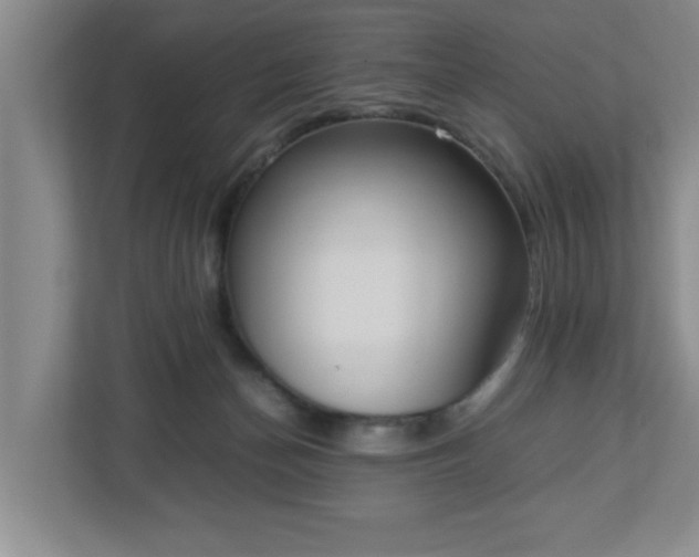 X0000113110174200909041253