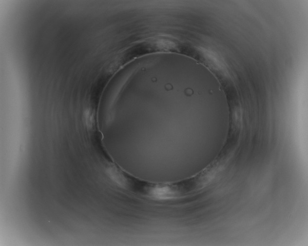 X0000113110177200909041253