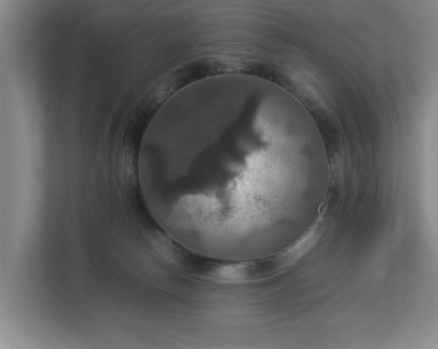 X0000113110178200909041253