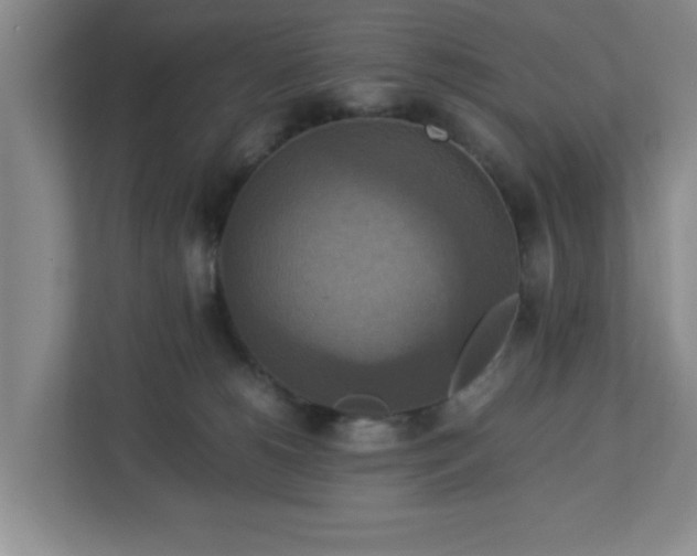 X0000113110180200909041253