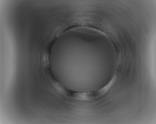 X0000113110182200909041253