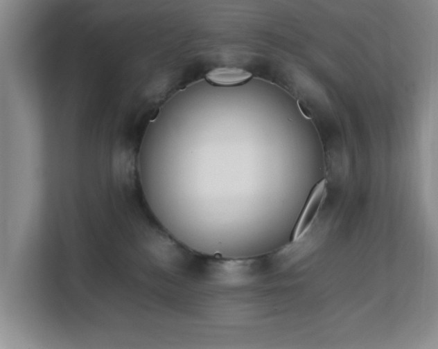 X0000113110184200909041253