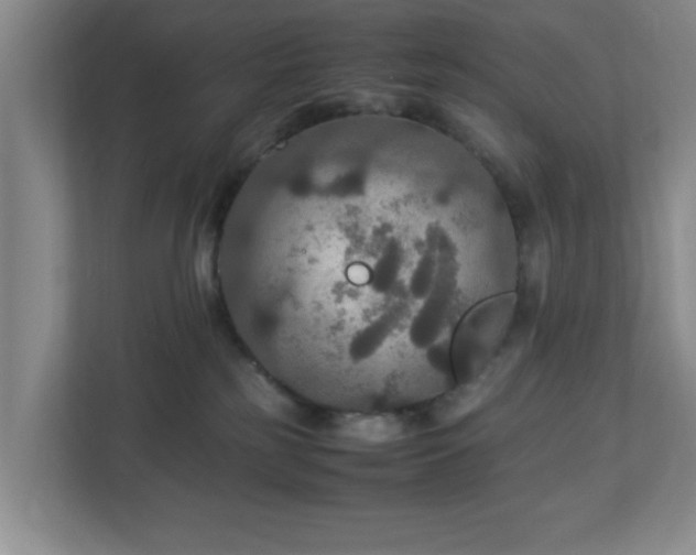 X0000113110185200909041253