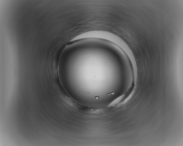 X0000113110186200909041253