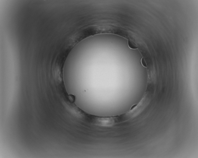 X0000113110187200909041253