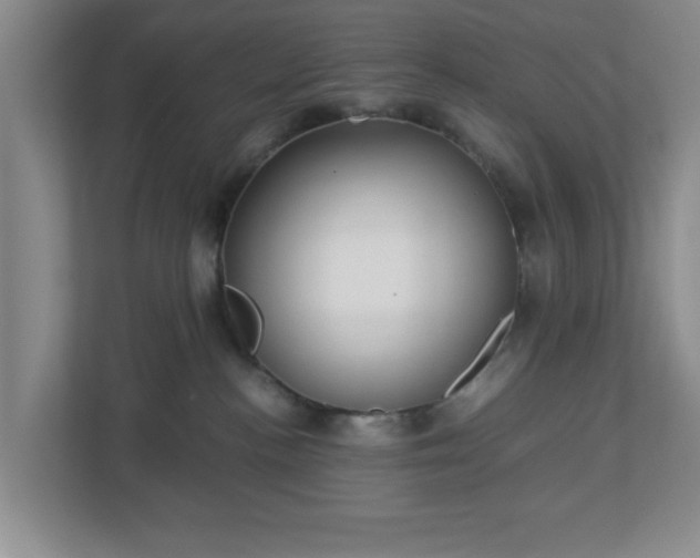 X0000113110188200909041253