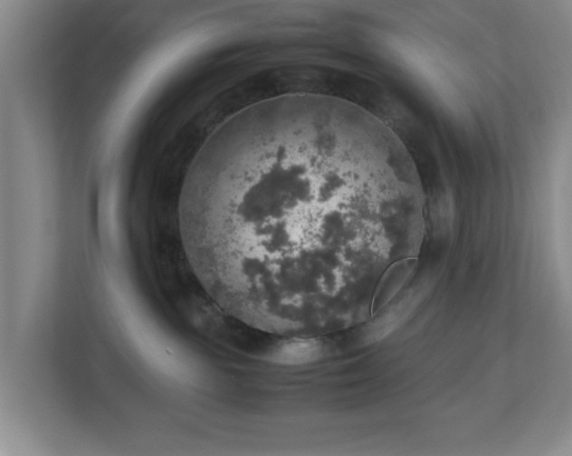 X0000113110189200909041253