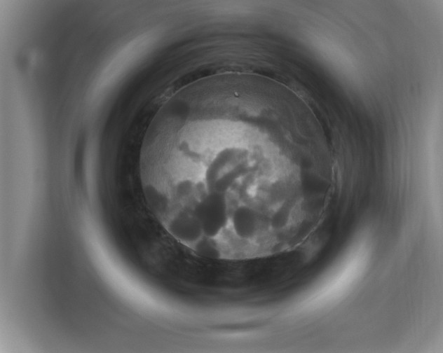 X0000113110191200909041253