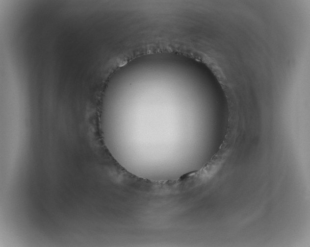 X0000113110192200909041253