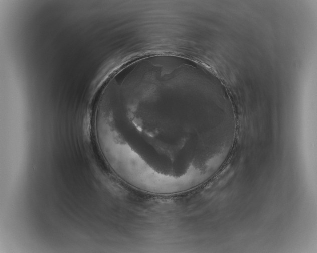 X0000113110194200909041253