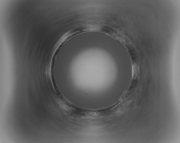 X0000113110195200909041253
