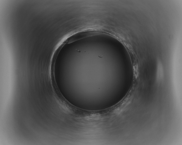 X0000113110196200909041253