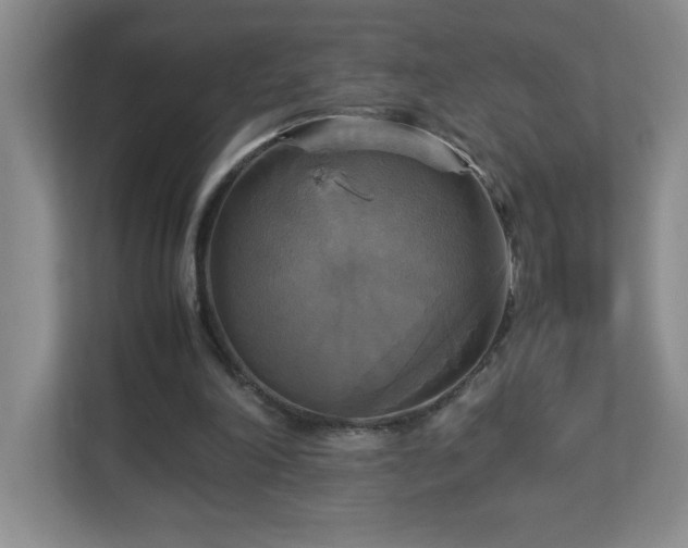 X0000113110198200909041253