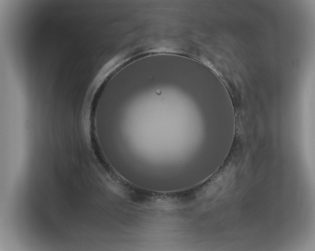 X0000113110199200909041253