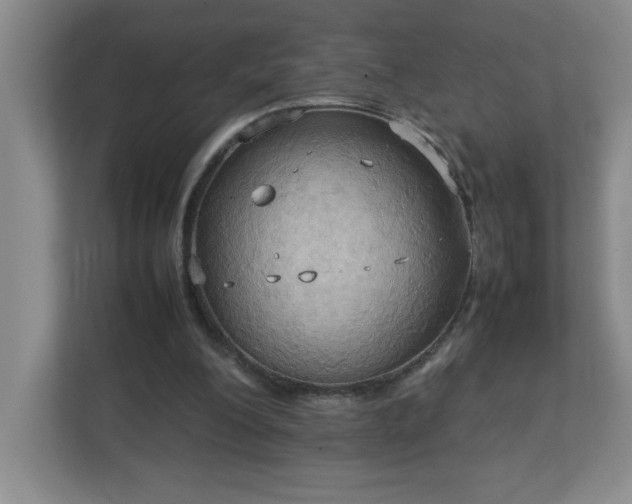X0000113110200200909041253