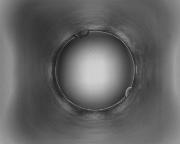 X0000113110201200909041253