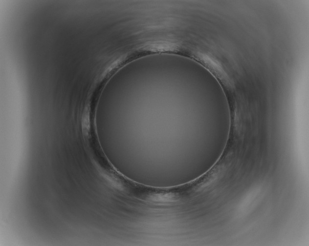 X0000113110202200909041253