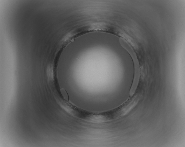X0000113110203200909041253