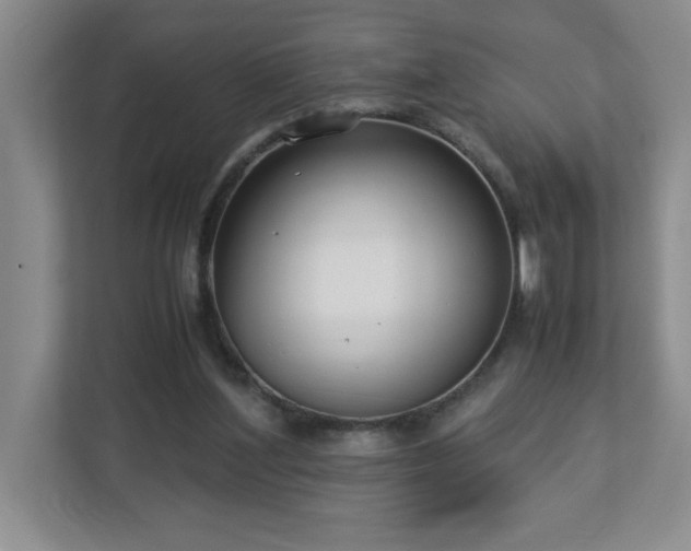 X0000113110204200909041252