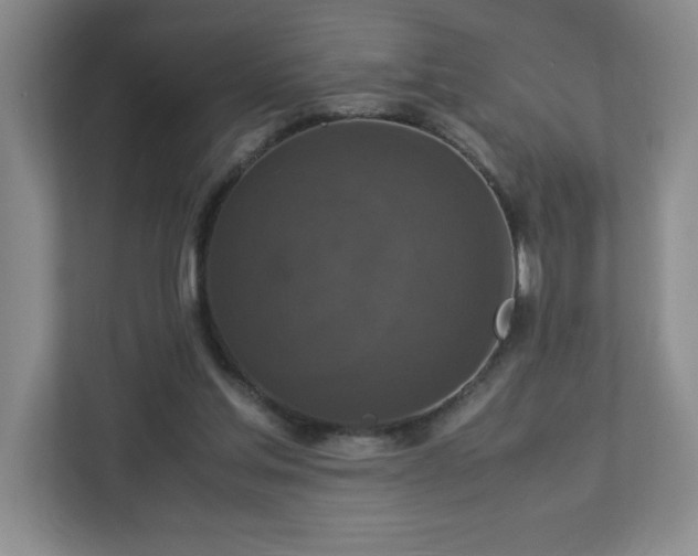 X0000113110205200909041252