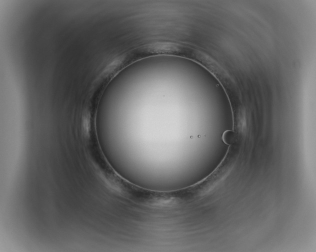 X0000113110206200909041252