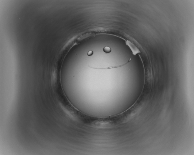 X0000113110208200909041252