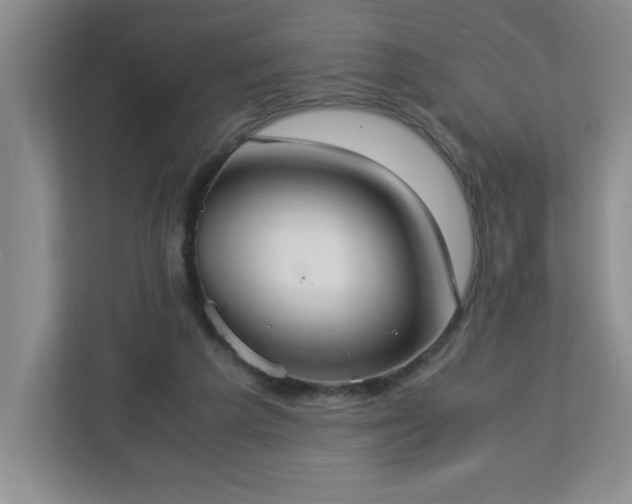 X0000113110209200909041252