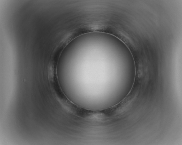 X0000113110210200909041252