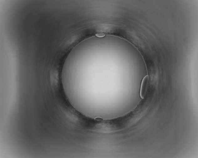X0000113110211200909041252